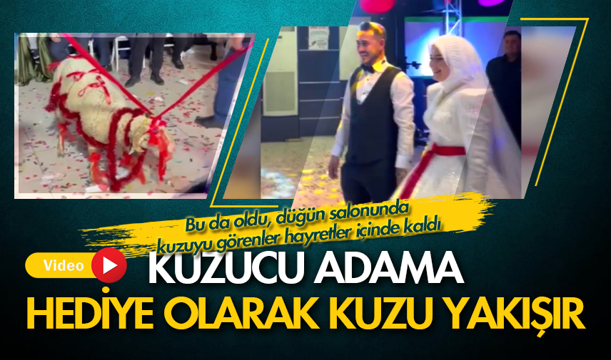 Kuzucu adama hediye olarak kuzu yakışır